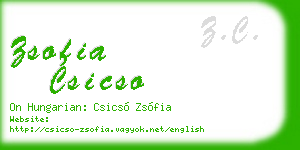 zsofia csicso business card