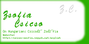 zsofia csicso business card